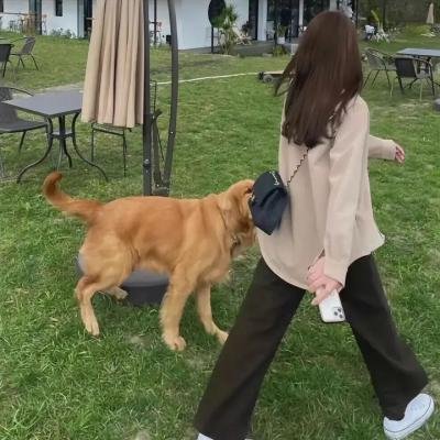 食人族时代
